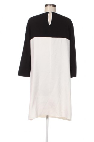 Kleid Penny Black, Größe M, Farbe Mehrfarbig, Preis € 47,57