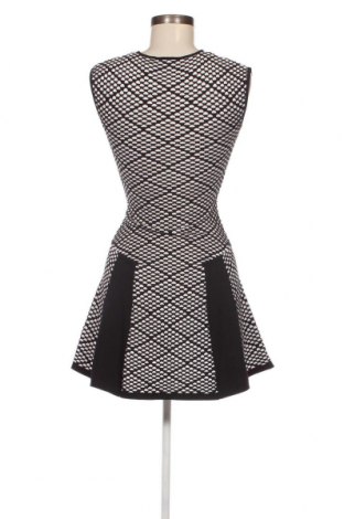 Kleid Pinko, Größe XS, Farbe Mehrfarbig, Preis 102,29 €