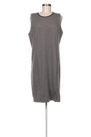 Φόρεμα Ralph Lauren, Μέγεθος XL, Χρώμα Γκρί, Τιμή 58,85 €