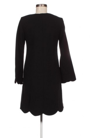 Kleid Tara Jarmon, Größe S, Farbe Schwarz, Preis 155,15 €