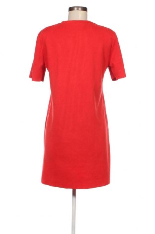 Kleid Zara, Größe M, Farbe Schwarz, Preis 20,85 €