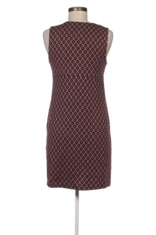 Kleid Zara Trafaluc, Größe M, Farbe Mehrfarbig, Preis 4,68 €