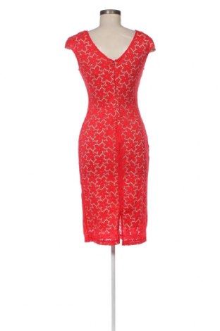 Φόρεμα Zee Lane, Μέγεθος XL, Χρώμα Κόκκινο, Τιμή 36,49 €