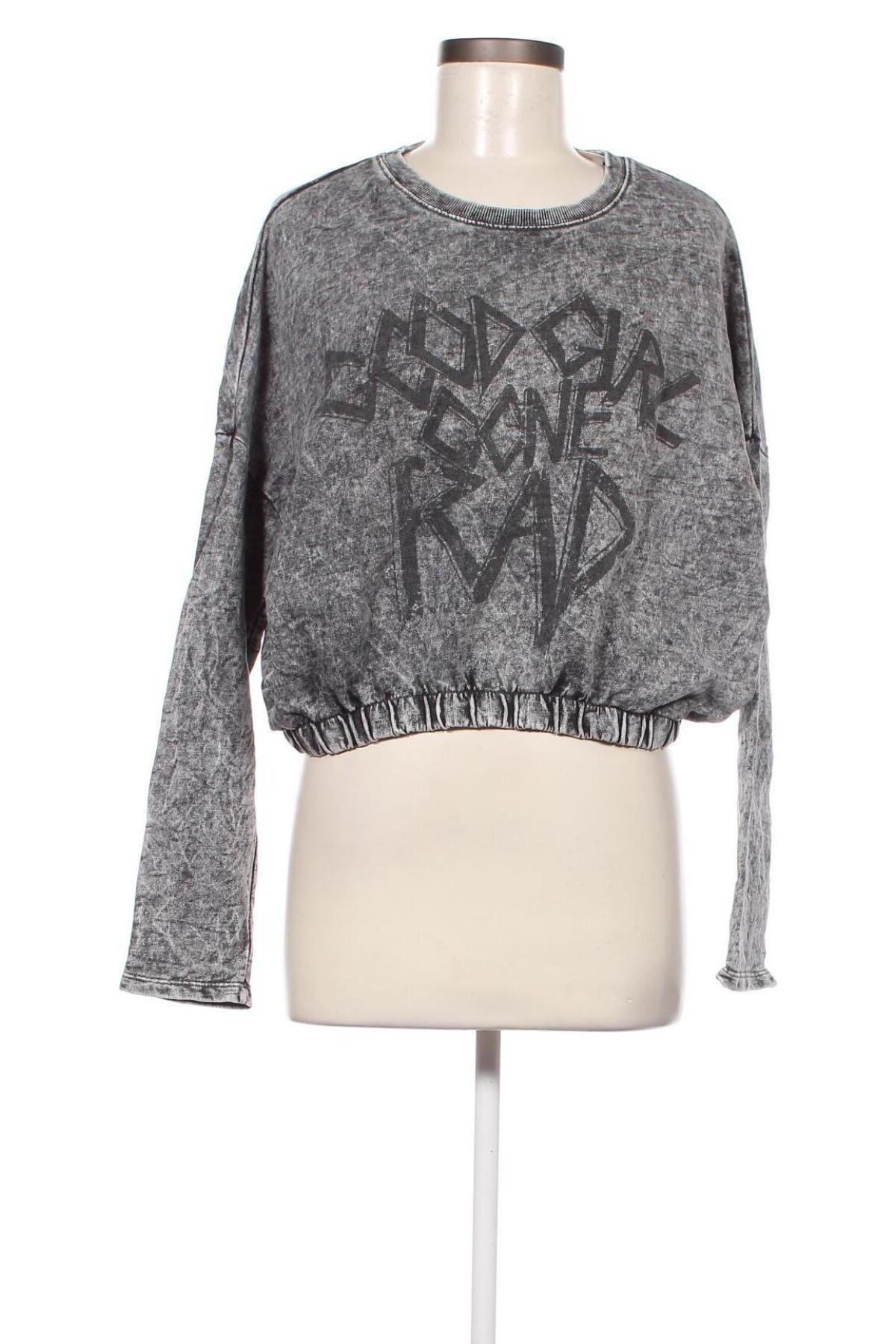 Γυναικεία μπλούζα Alcott, Μέγεθος L, Χρώμα Γκρί, Τιμή 4,58 €