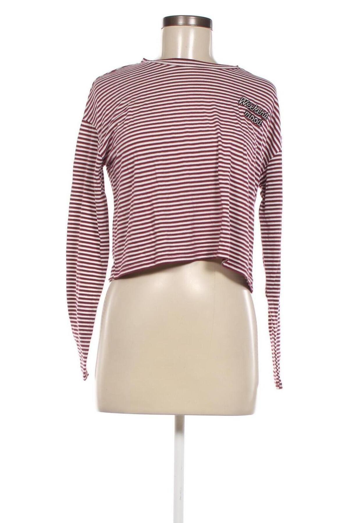 Damen Shirt Fb Sister, Größe S, Farbe Mehrfarbig, Preis 2,12 €