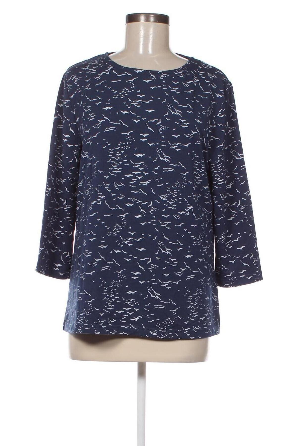 Γυναικεία μπλούζα Navigazione, Μέγεθος M, Χρώμα Πολύχρωμο, Τιμή 2,82 €