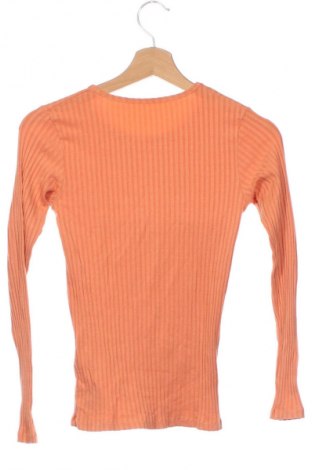 Damen Shirt Unbranded, Größe XS, Farbe Orange, Preis € 3,99