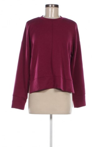Damen Shirt 17 & Co., Größe S, Farbe Lila, Preis 3,99 €