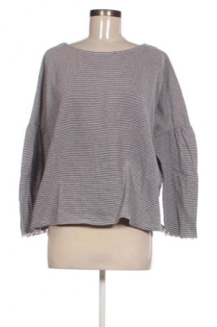 Damen Shirt Betty & Co, Größe XL, Farbe Mehrfarbig, Preis € 10,99