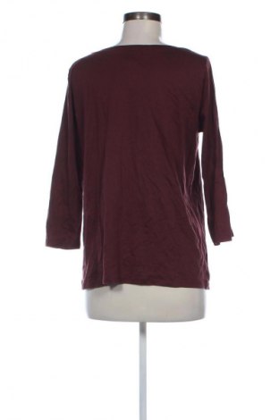 Damen Shirt Calida, Größe M, Farbe Braun, Preis € 20,99