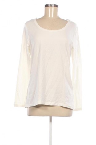 Damen Shirt Charles Vogele, Größe L, Farbe Ecru, Preis € 7,99