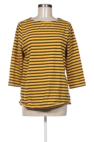 Damen Shirt Collection L, Größe L, Farbe Mehrfarbig, Preis € 5,99
