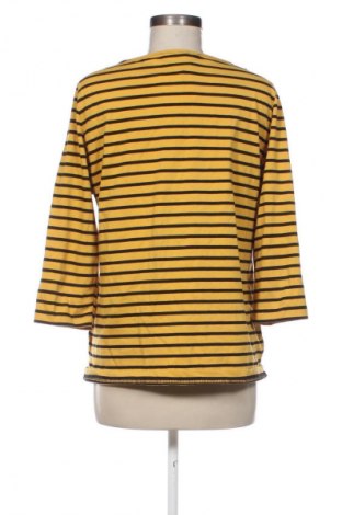 Damen Shirt Collection L, Größe L, Farbe Mehrfarbig, Preis € 5,99
