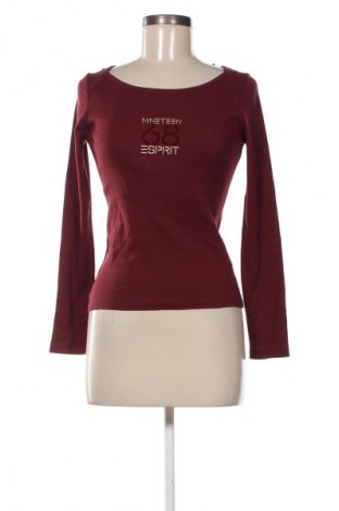 Damen Shirt Esprit, Größe S, Farbe Rot, Preis € 23,99