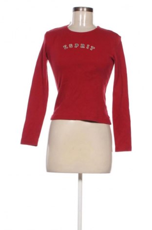 Damen Shirt Esprit, Größe S, Farbe Rot, Preis 8,99 €