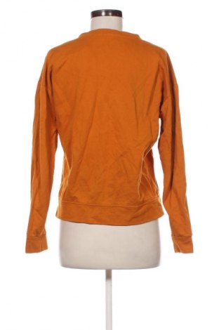 Damen Shirt Gestuz, Größe S, Farbe Orange, Preis 19,99 €