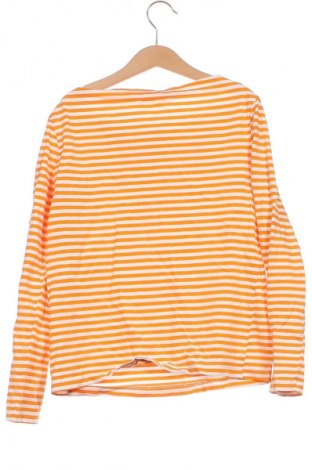 Damen Shirt Mango, Größe XS, Farbe Orange, Preis € 4,99