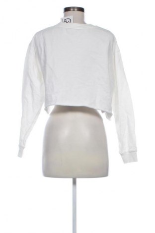 Damen Shirt Mango, Größe L, Farbe Weiß, Preis € 3,99