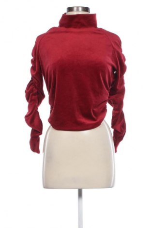 Damen Shirt Piazza Italia, Größe L, Farbe Rot, Preis 12,99 €