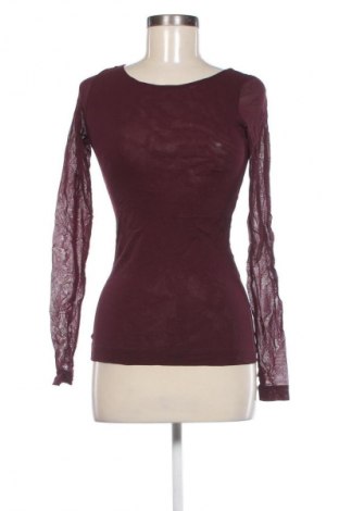 Damen Shirt Rinascimento, Größe M, Farbe Lila, Preis € 20,99