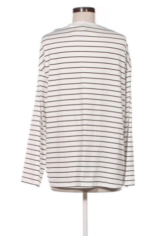 Damen Shirt SHEIN, Größe XL, Farbe Mehrfarbig, Preis € 4,99