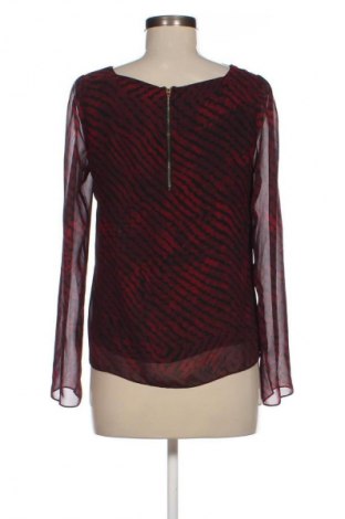 Damen Shirt Sud Express, Größe S, Farbe Mehrfarbig, Preis € 11,99