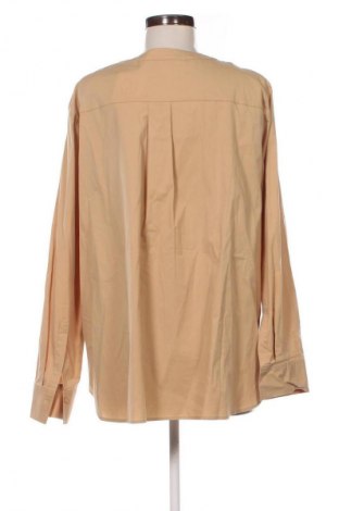 Damenbluse Brax, Größe XL, Farbe Beige, Preis 12,99 €