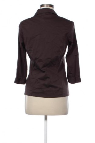 Damenbluse Colours Of The World, Größe M, Farbe Braun, Preis € 3,99