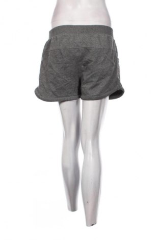 Damen Shorts, Größe M, Farbe Grau, Preis € 5,99