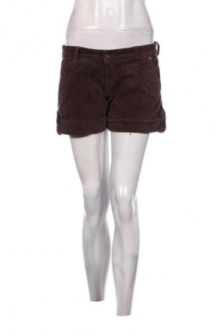 Damen Shorts Formul@, Größe M, Farbe Braun, Preis € 10,99