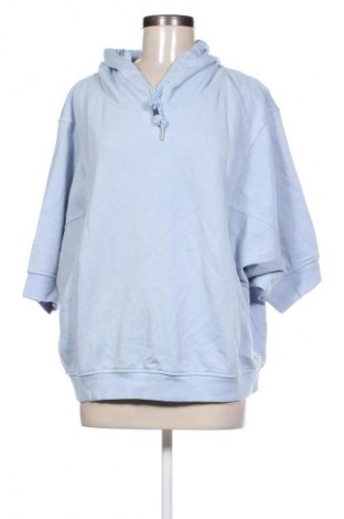 Damen Sweatshirt Comma,, Größe L, Farbe Blau, Preis 33,99 €