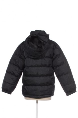 Damenjacke Collection, Größe S, Farbe Schwarz, Preis 24,99 €