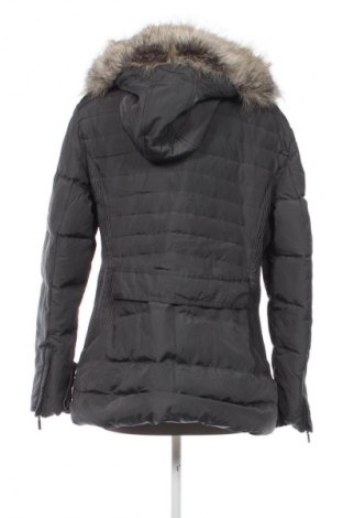 Damenjacke Jasper Conran, Größe XL, Farbe Grün, Preis 132,99 €