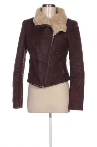 Damenjacke Ltb, Größe L, Farbe Braun, Preis 24,99 €