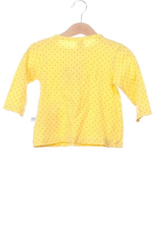 Kinder Shirt, Größe 9-12m/ 74-80 cm, Farbe Mehrfarbig, Preis € 3,99