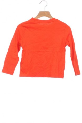 Kinder Shirt Lupilu, Größe 3-4y/ 104-110 cm, Farbe Orange, Preis € 3,99