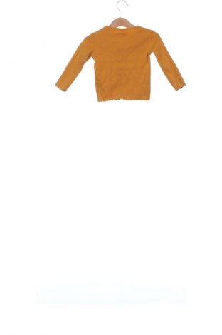 Kinder Shirt Next, Größe 12-18m/ 80-86 cm, Farbe Orange, Preis 5,99 €