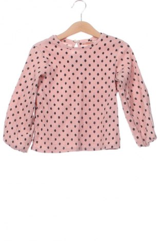 Детска блуза Zara Kids, Размер 3-4y/ 104-110 см, Цвят Многоцветен, Цена 14,00 лв.