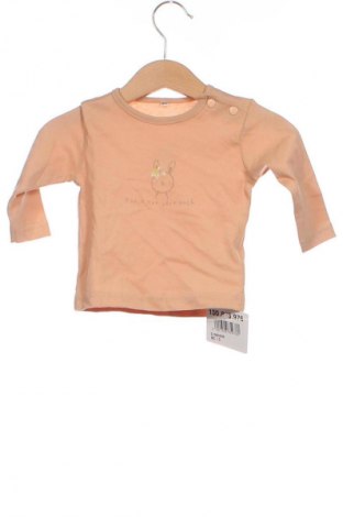 Kinder Shirt Zeeman, Größe 2-3m/ 56-62 cm, Farbe Orange, Preis € 2,99