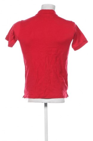 Herren T-Shirt Polo Club, Größe S, Farbe Rot, Preis € 34,99