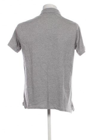 Herren T-Shirt Cerruti, Größe XL, Farbe Grau, Preis € 30,28