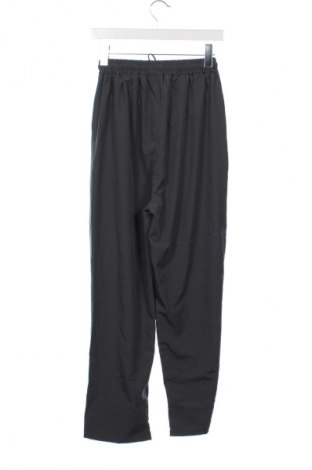 Herrenhose, Größe XS, Farbe Grau, Preis 10,99 €