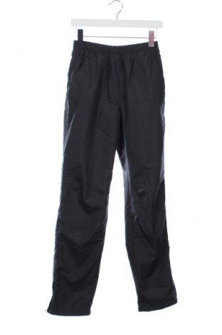 Herrenhose Rodeo, Größe XS, Farbe Grau, Preis € 6,99