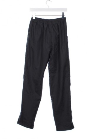 Herrenhose Rodeo, Größe XS, Farbe Grau, Preis € 6,99