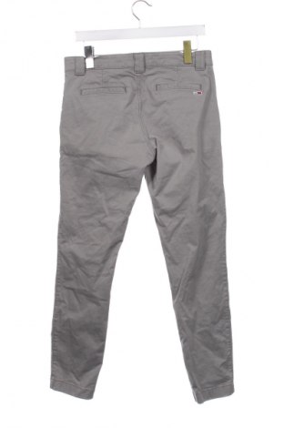 Herrenhose Tommy Jeans, Größe S, Farbe Grau, Preis 28,99 €