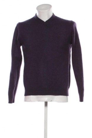 Herrenpullover Biaggini, Größe S, Farbe Lila, Preis 11,99 €