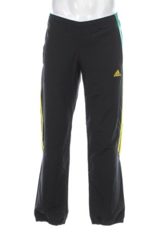 Herren Sporthose Adidas, Größe S, Farbe Mehrfarbig, Preis € 34,99