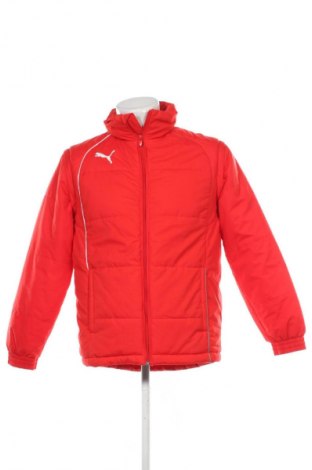 Herrenjacke PUMA, Größe L, Farbe Orange, Preis € 52,99