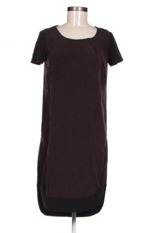 Kleid AllSaints, Größe S, Farbe Mehrfarbig, Preis € 37,99