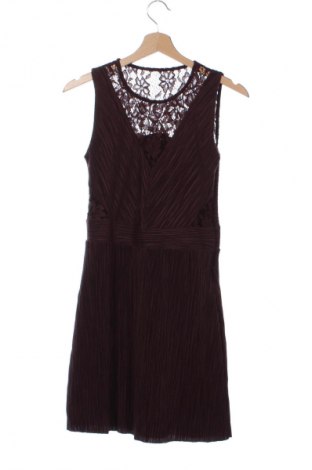 Kleid AllSaints, Größe M, Farbe Braun, Preis € 67,99